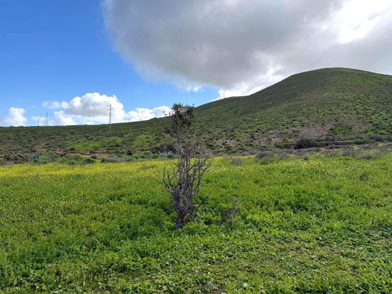 Finca/Casa Rural de 2 habitaciones en Telde en venta - 220.000 € (Ref: 9339181)