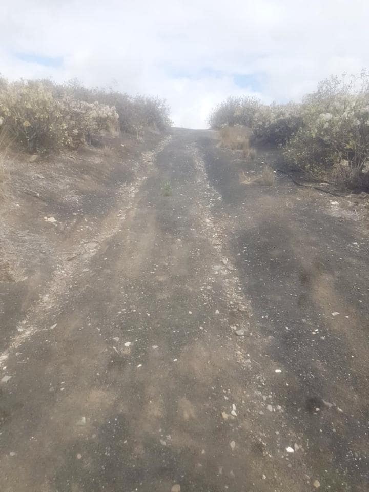 Undeveloped Land for rent in Las Palmas de Gran Canaria - € 2,900 (Ref: 9340289)