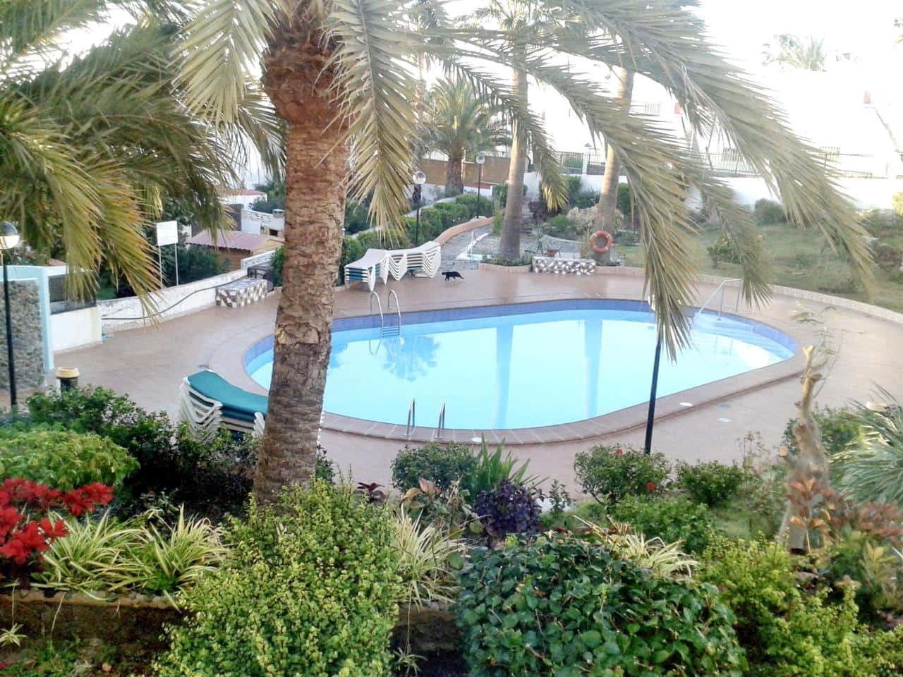 1 chambre Appartement à vendre à San Agustin avec piscine - 270 000 € (Ref: 9348665)