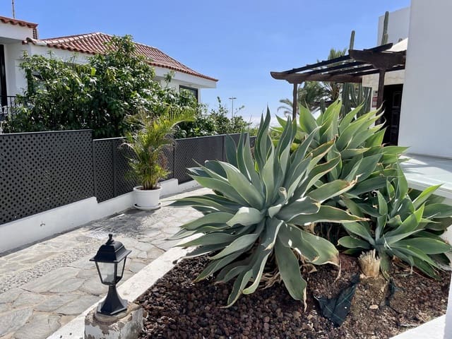 3 bedroom Flat for rent in Maspalomas, San Bartolomé de Tirajana - € 2,600 (Ref: 9396830)