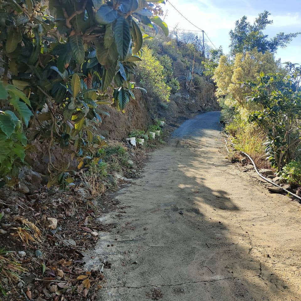 3 camera da letto Finca/Casa di Campagna in vendita in San Bartolome de Tirajana - 390.000 € (Rif: 9402444)