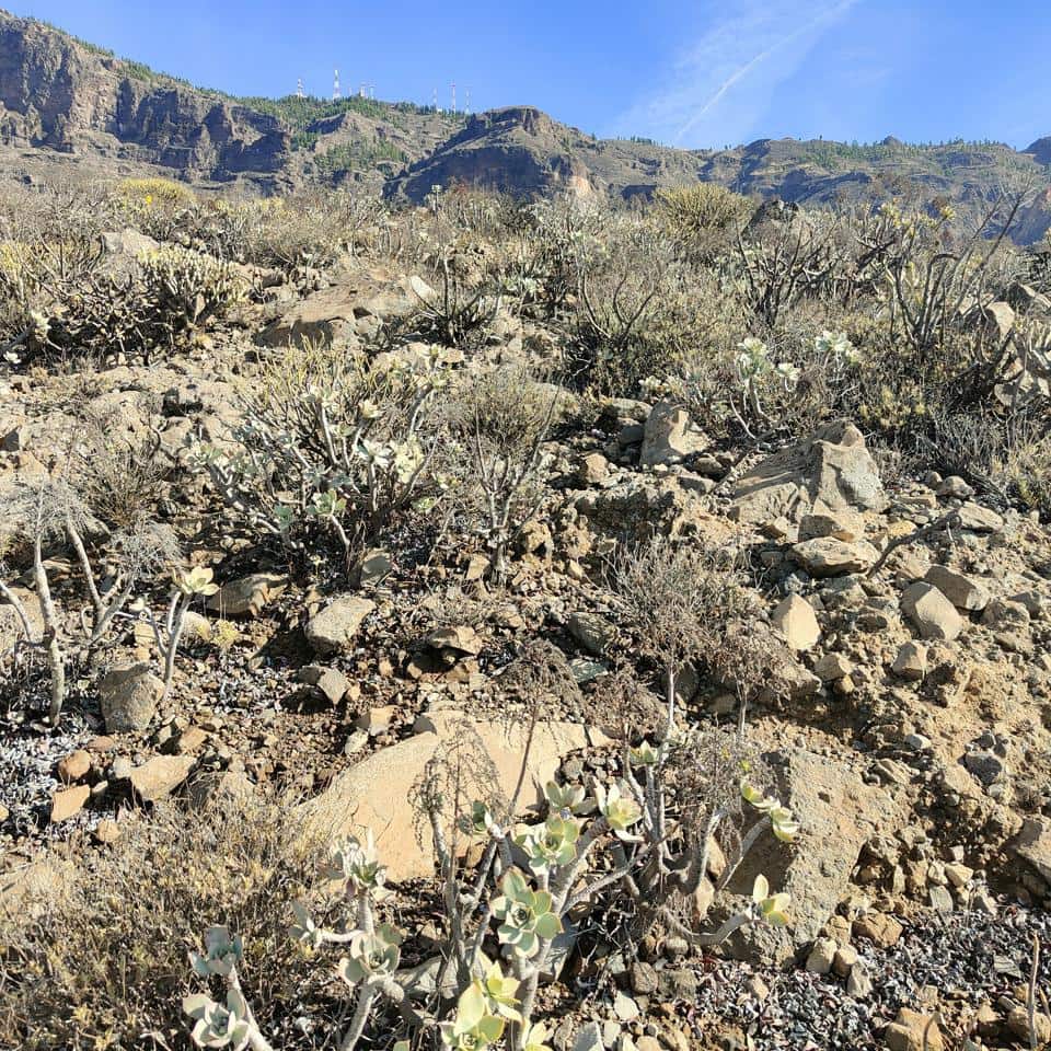 3 camera da letto Finca/Casa di Campagna in vendita in San Bartolome de Tirajana - 390.000 € (Rif: 9402444)