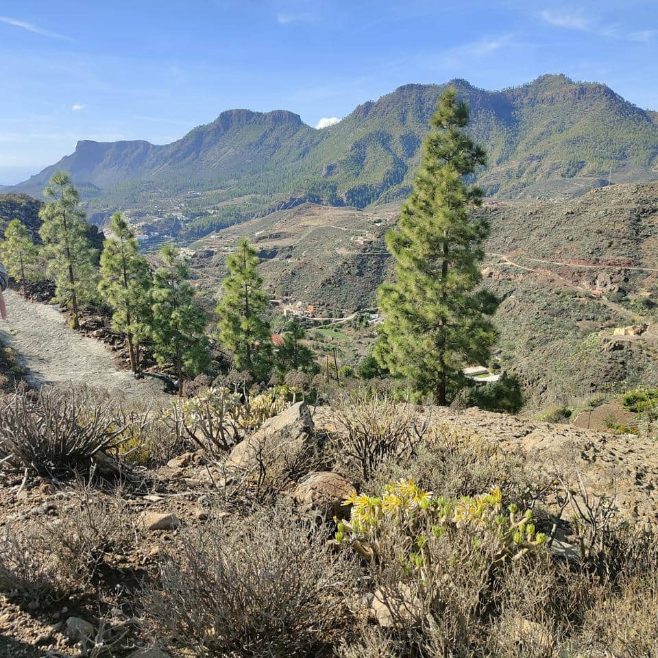 3 camera da letto Finca/Casa di Campagna in vendita in San Bartolome de Tirajana - 390.000 € (Rif: 9402444)