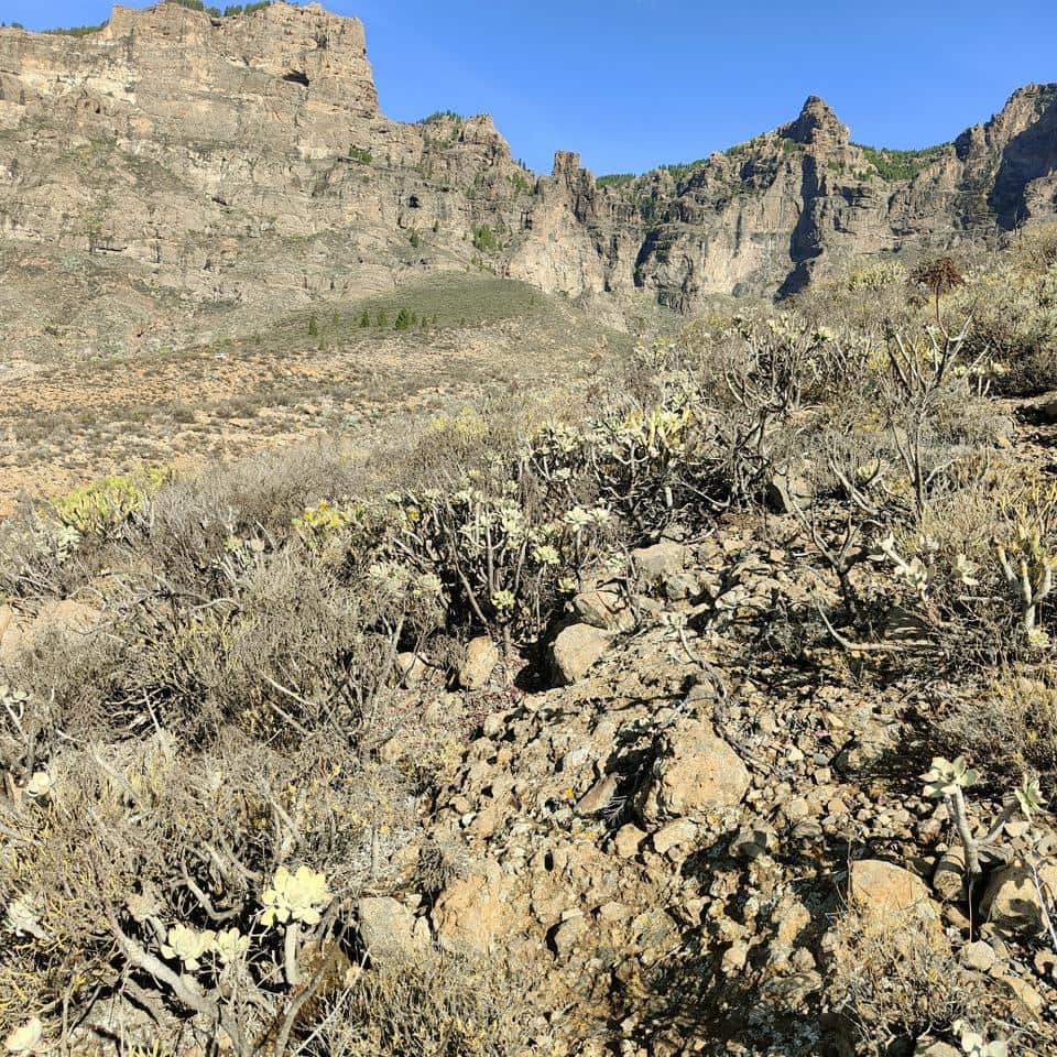 3 camera da letto Finca/Casa di Campagna in vendita in San Bartolome de Tirajana - 390.000 € (Rif: 9402444)