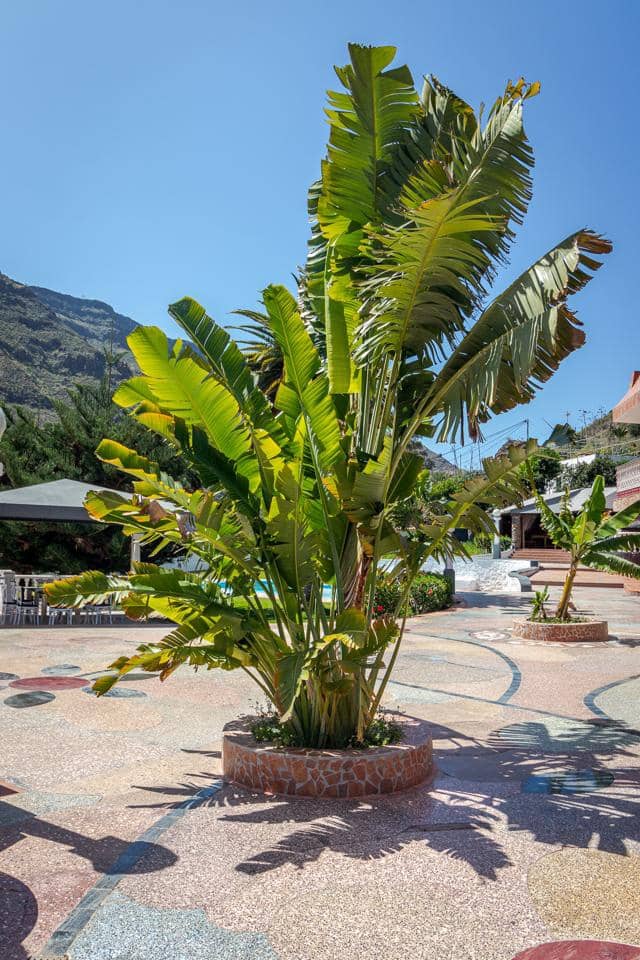 1 bedroom Flat for rent in Mogan with pool garage - € 1,300 (Ref: 9421550)