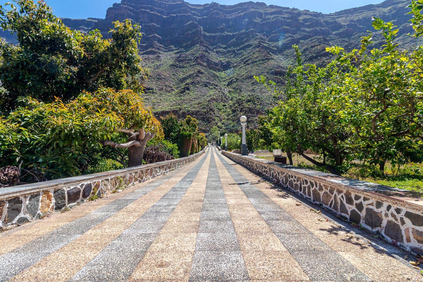 1 bedroom Flat for rent in Mogan with pool garage - € 1,300 (Ref: 9421550)