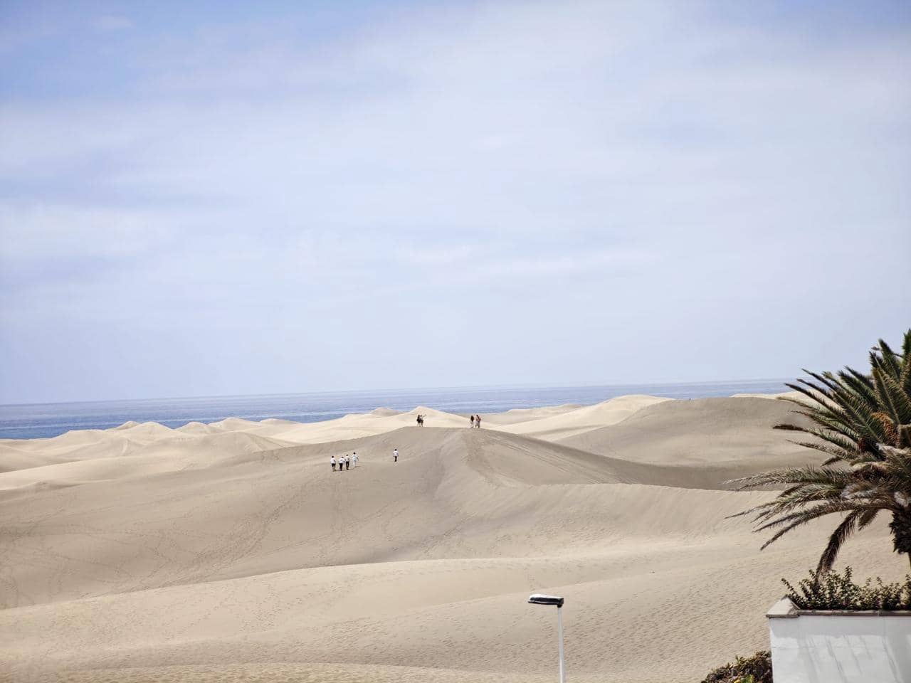1 bedroom Flat for rent in Maspalomas with pool - € 1,000 (Ref: 9436449)