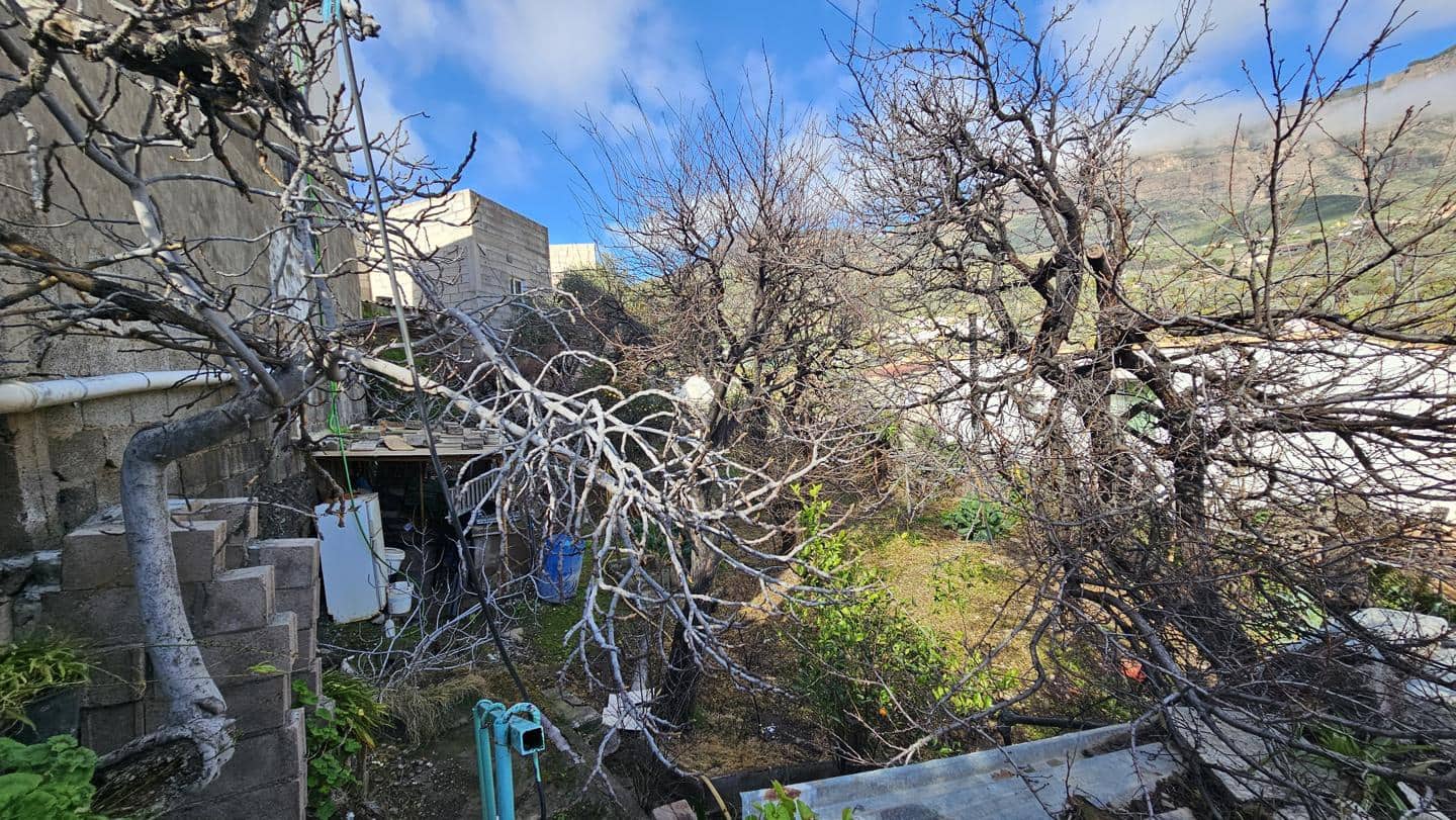 4 sypialnia Finka/Dom wiejski na sprzedaż w San Bartolome de Tirajana z basenem garażem - 160 000 € (Ref: 9566734)