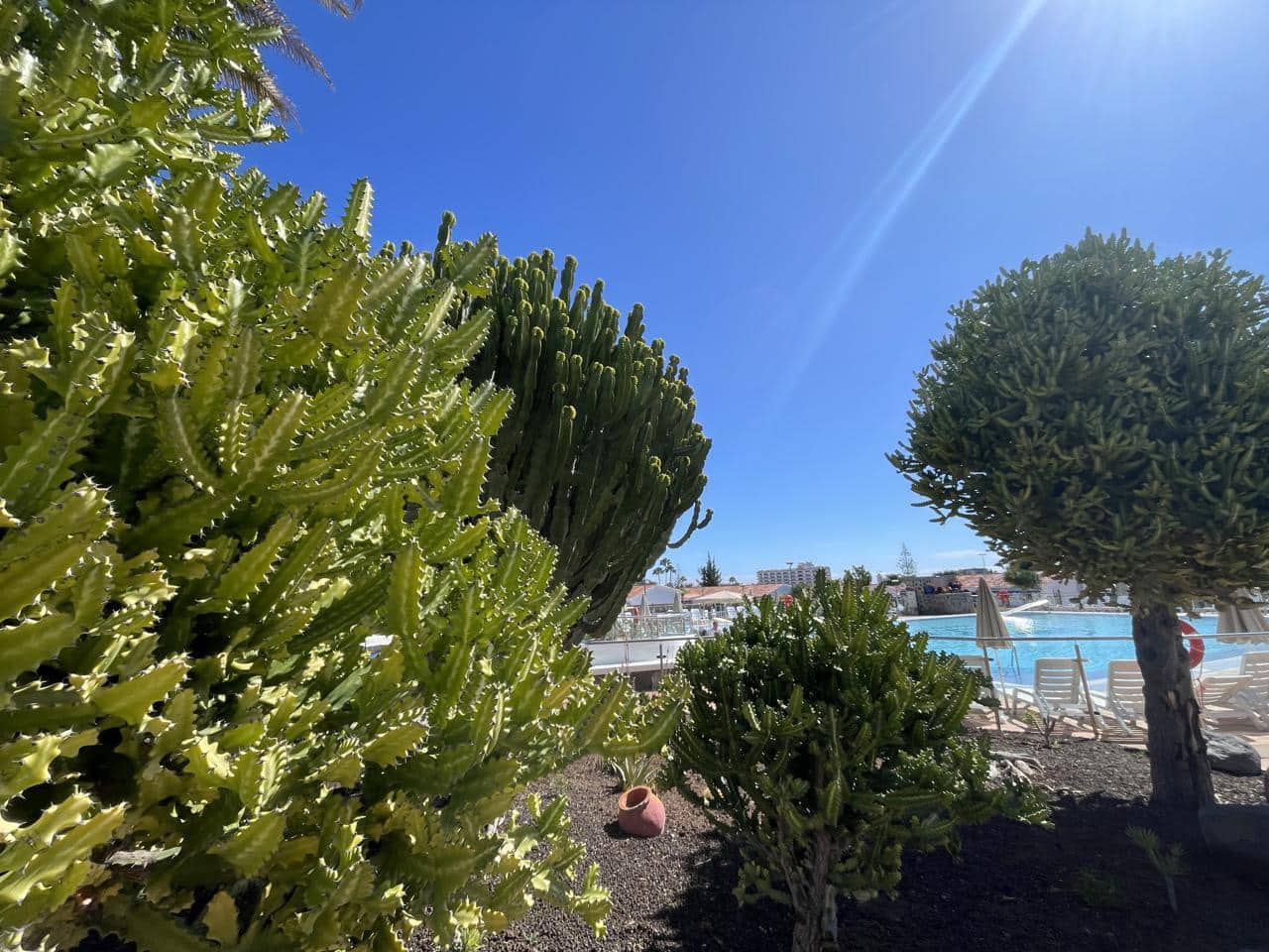 2 Zimmer Bungalow zu vermieten in Playa del Ingles mit Pool - 1.600 € (Ref: 9603446)