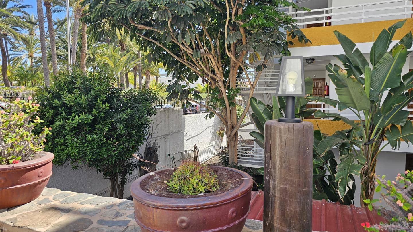 1 camera da letto Appartamento da affittare in Playa del Ingles con piscina - 1.100 € (Rif: 9656687)