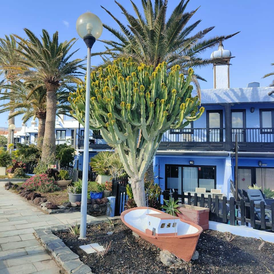 3 camera da letto Villa da affittare in San Agustin con piscina garage - 3.200 € (Rif: 9684255)