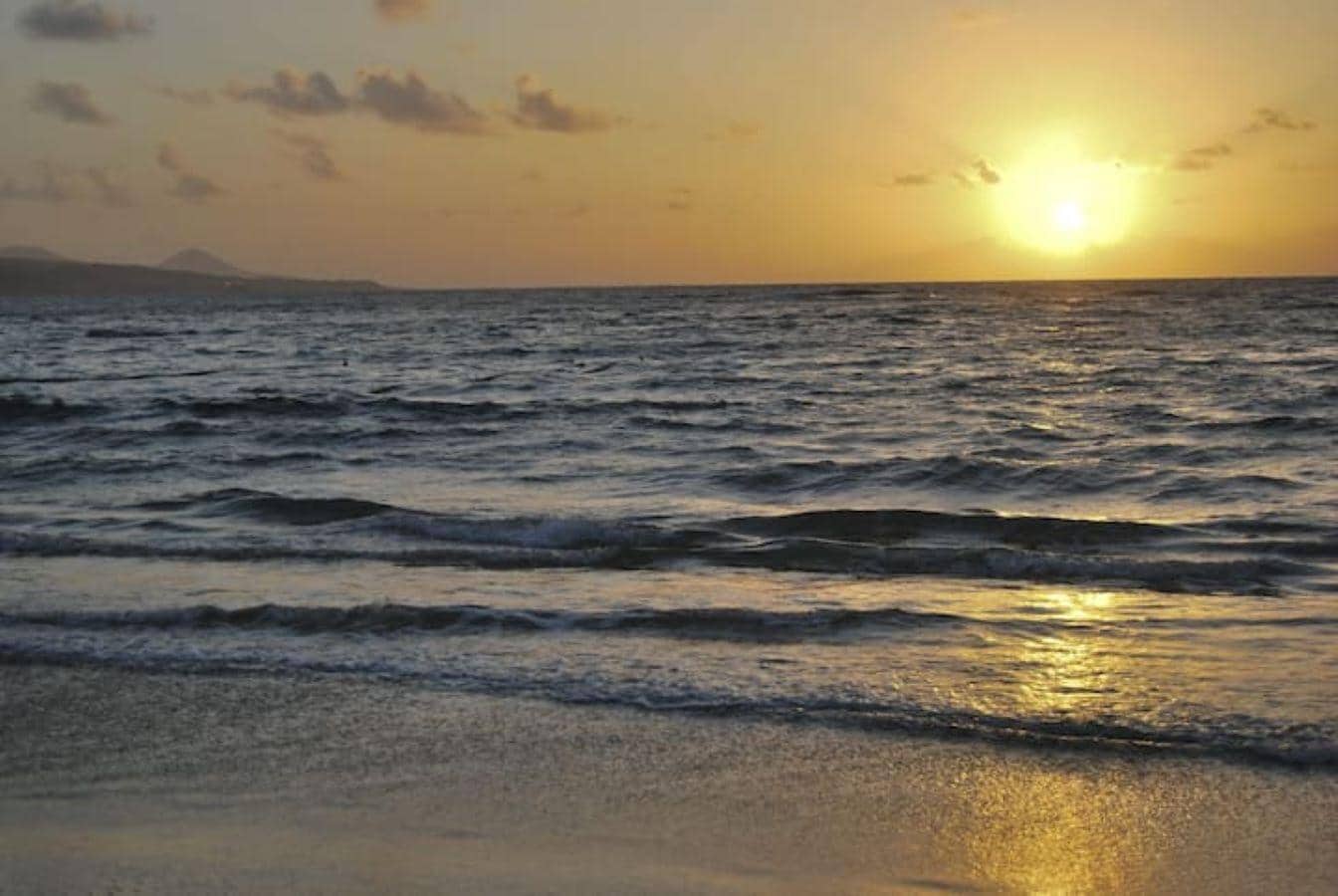 1 bedroom Flat for rent in Las Palmas de Gran Canaria - € 1,200 (Ref: 9730619)