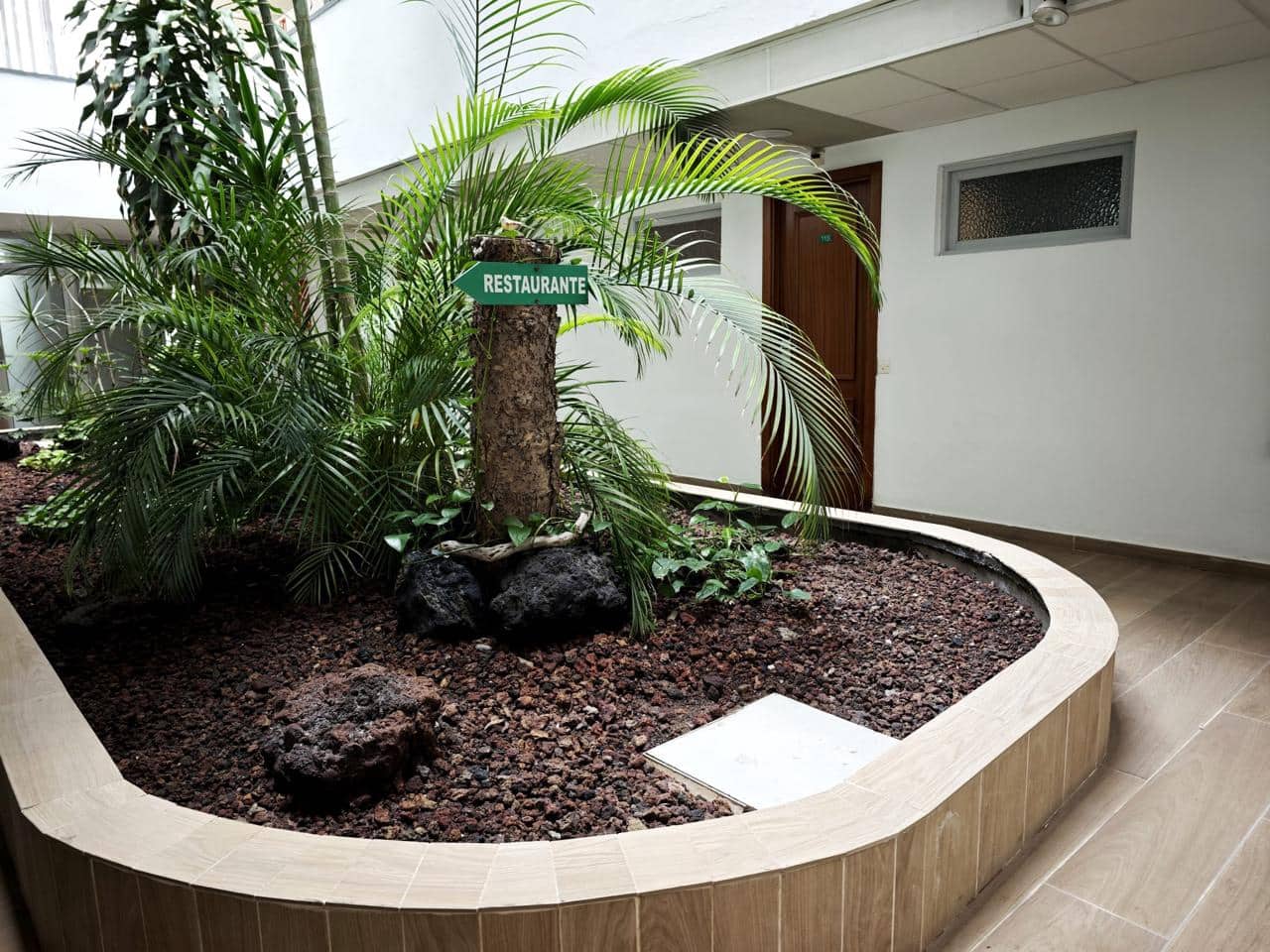 1 bedroom Flat for rent in Playa del Ingles with pool - € 1,500 (Ref: 9733758)