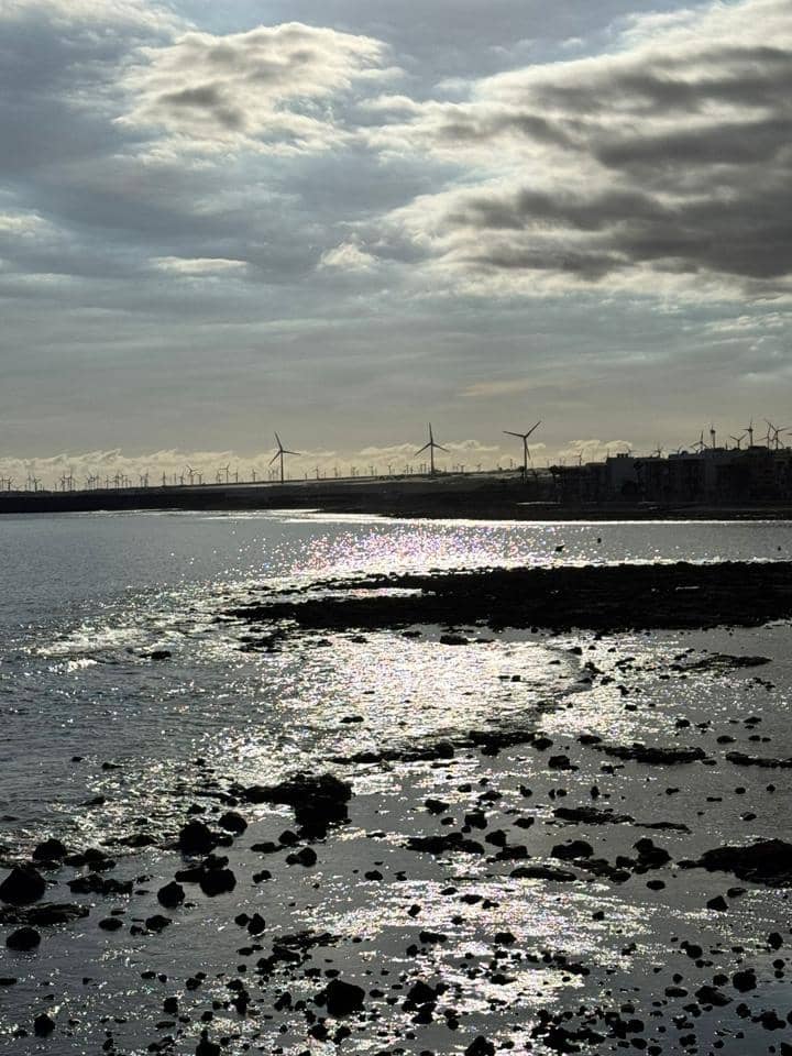 2 bedroom Flat for rent in Arinaga with garage - € 1,700 (Ref: 9769941)