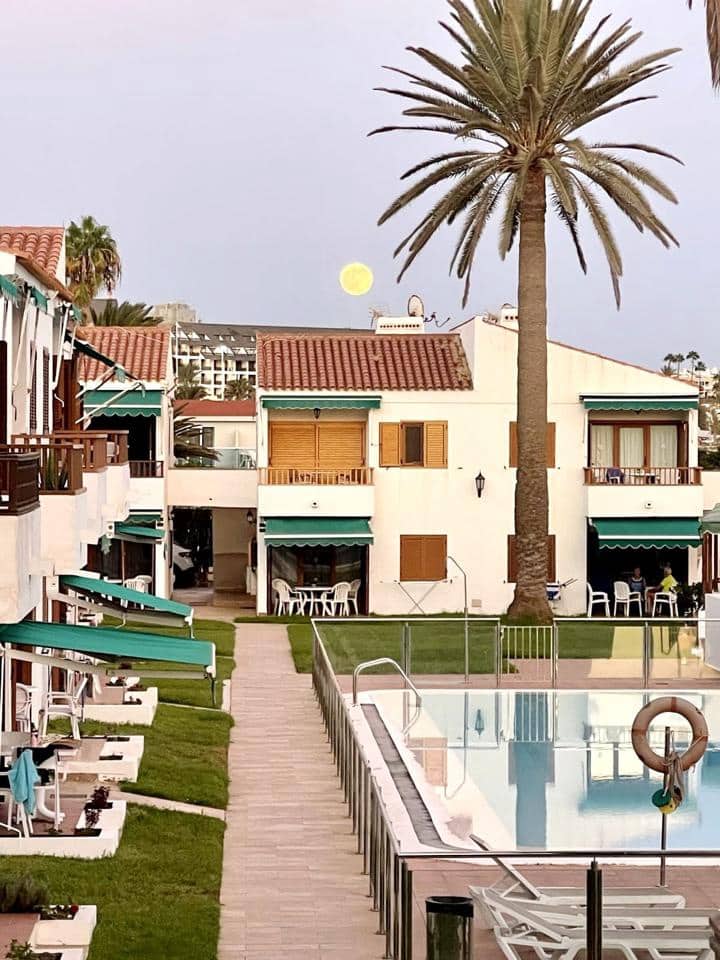 2 soveværelse Lejlighed til leje i San Agustin med swimmingpool garage - € 2.000 (Ref: 9838532)