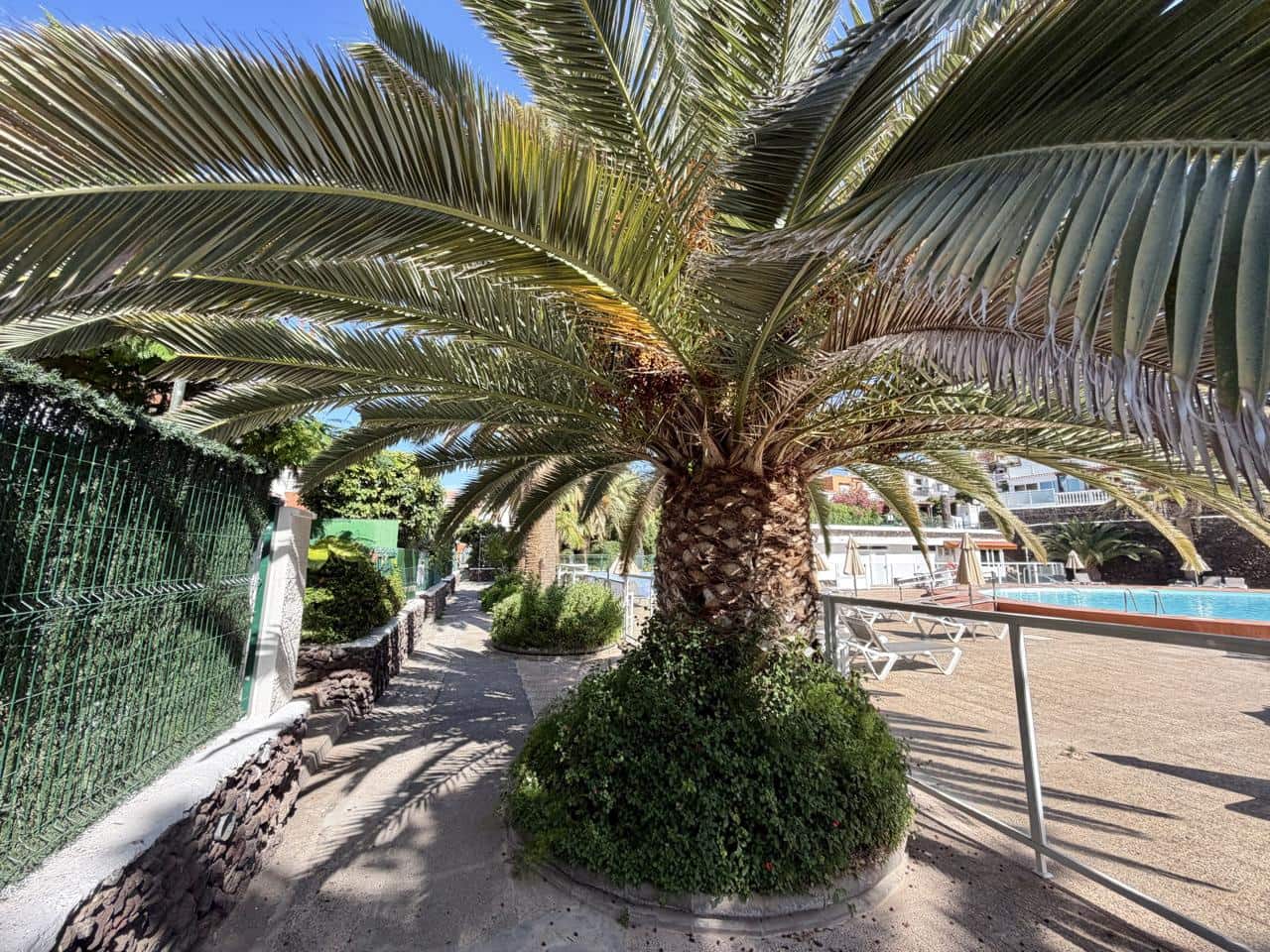 1 chambre Villa/Maison à vendre à Sonneland avec piscine - 265 000 € (Ref: 9895135)