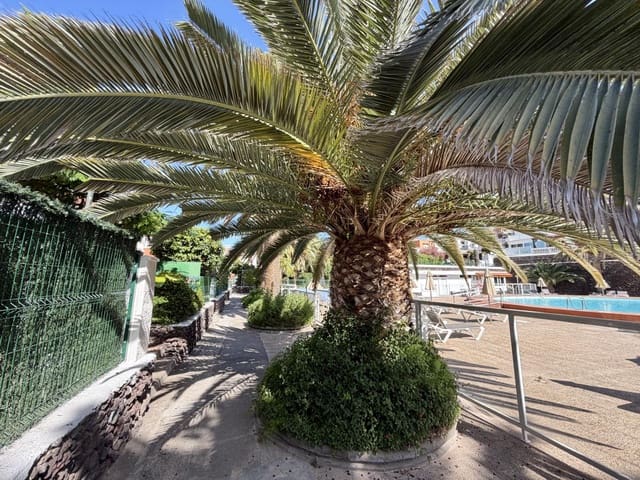 1 chambre Villa/Maison à vendre à Sonneland, San Bartolomé de Tirajana - 265 000 € (Ref: 9895135)