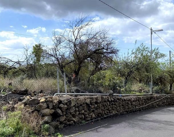 Teren niezagospodarowany na sprzedaż w El Paso - 228 000 € (Ref: 9905165)