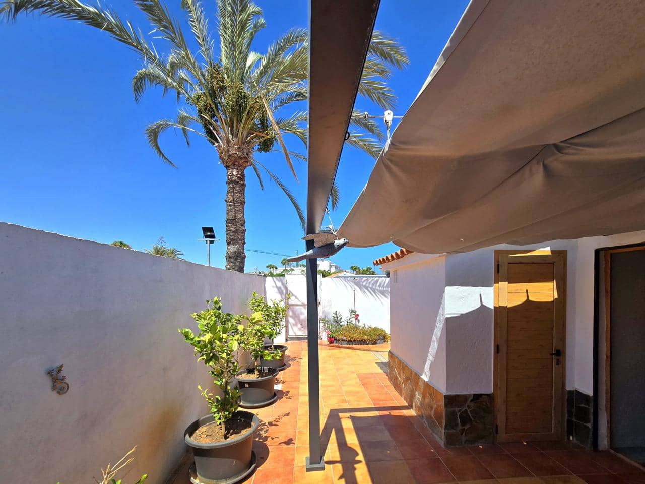 1 sypialnia Bungalow na sprzedaż w Playa del Ingles z basenem - 399 000 € (Ref: 9926460)