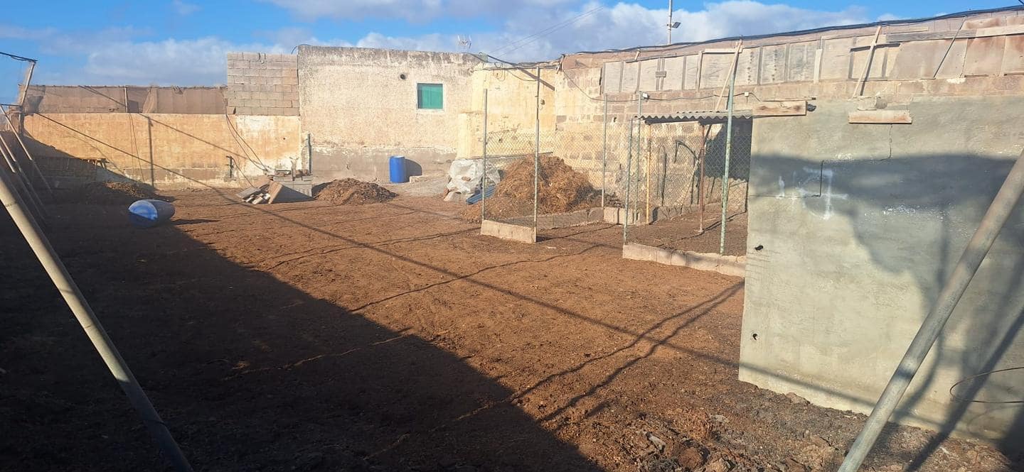 Terre non Aménagée à vendre à Telde - 35 000 € (Ref: 9977965)