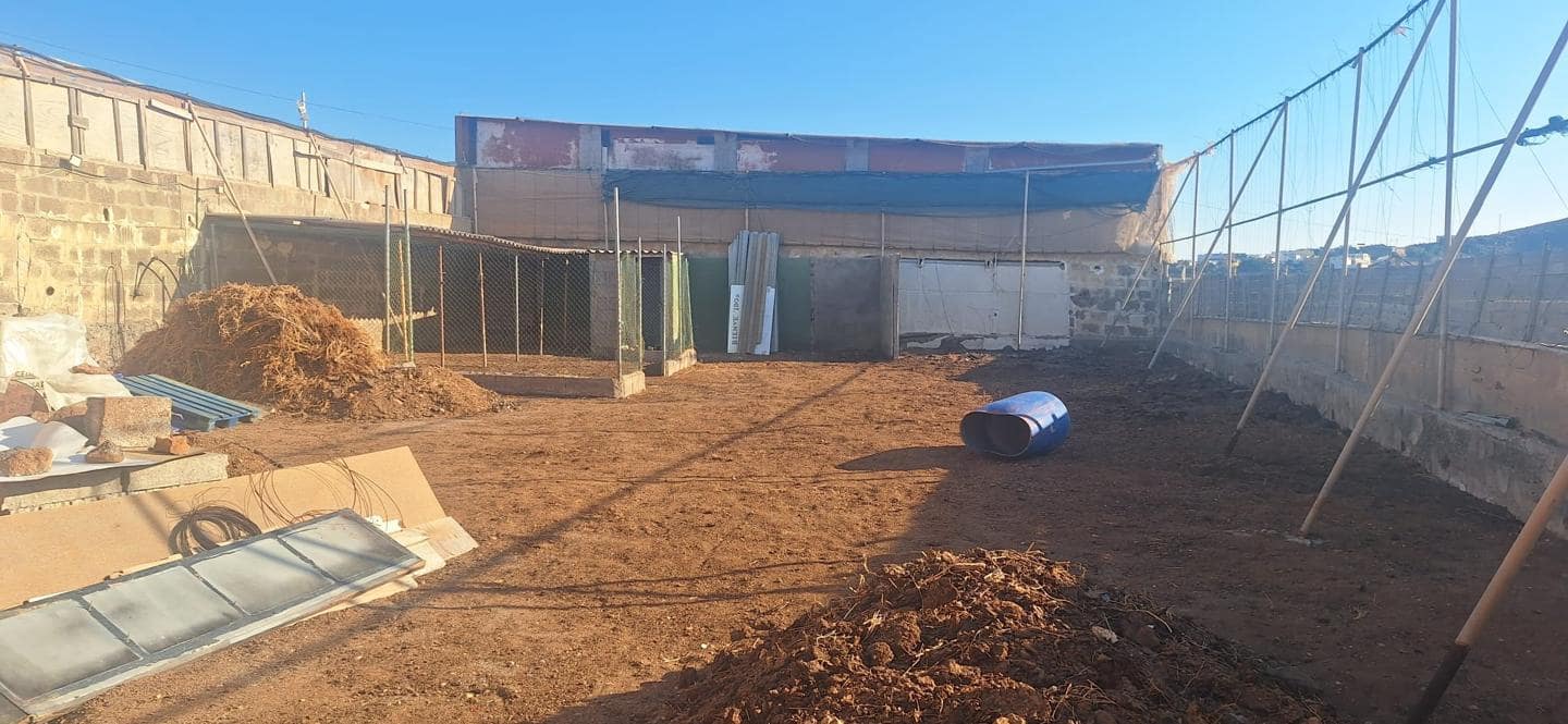 Terre non Aménagée à vendre à Telde - 35 000 € (Ref: 9977965)
