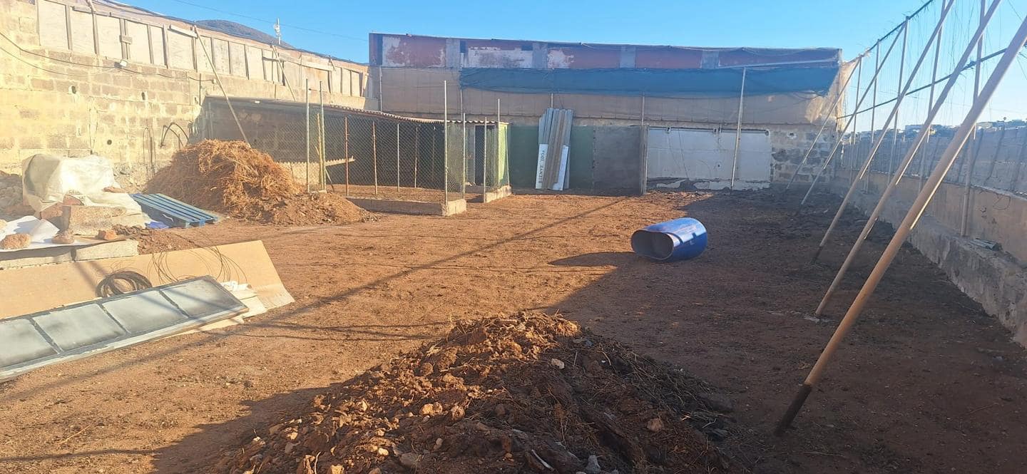 Terre non Aménagée à vendre à Telde - 35 000 € (Ref: 9977965)
