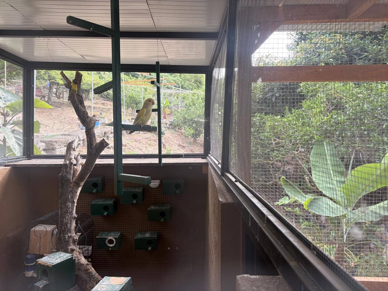 1 slaapkamer Villa te huur in Firgas met garage - € 1.000 (Ref: 9997713)