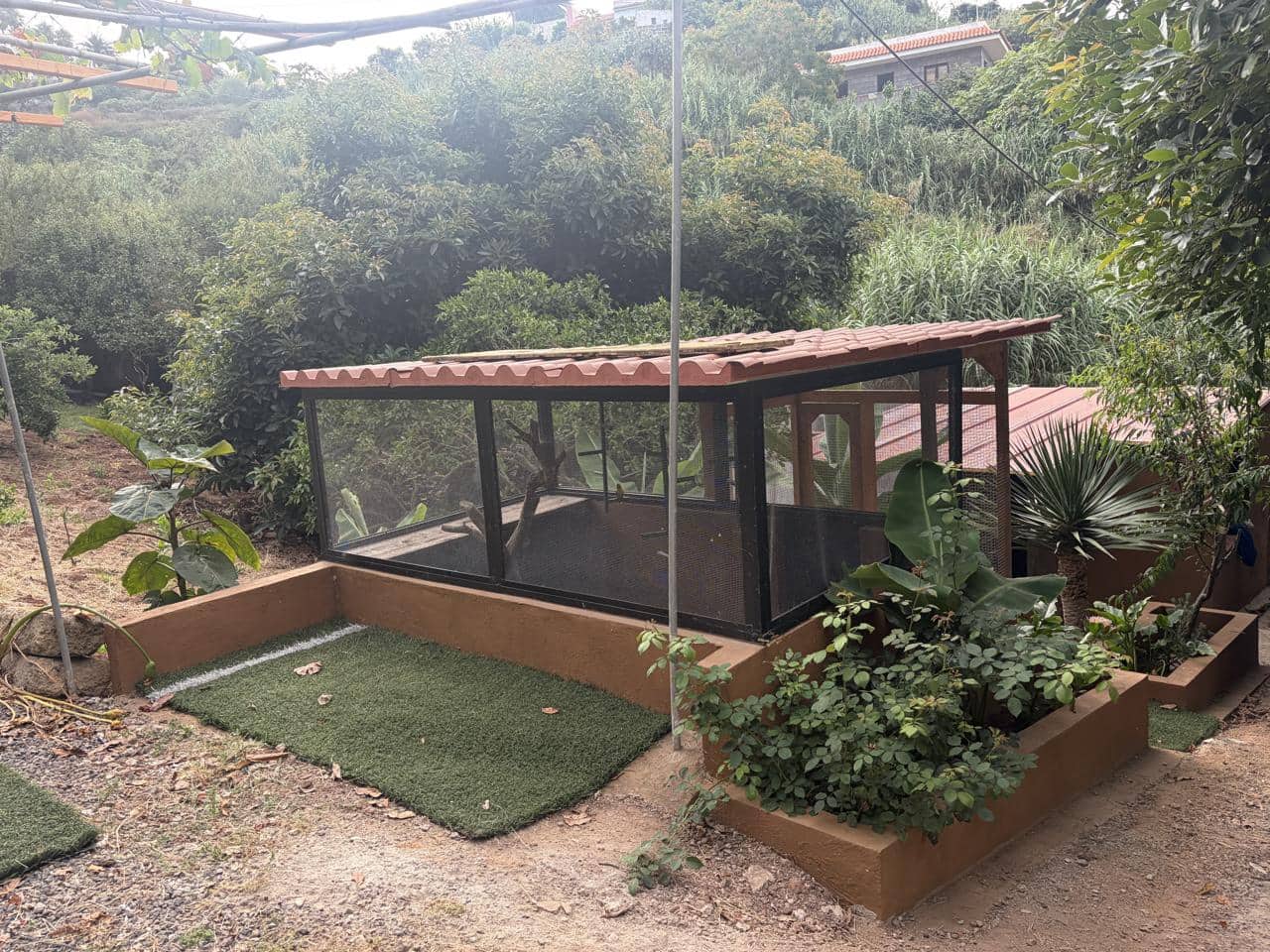 1 slaapkamer Villa te huur in Firgas met garage - € 1.000 (Ref: 9997713)