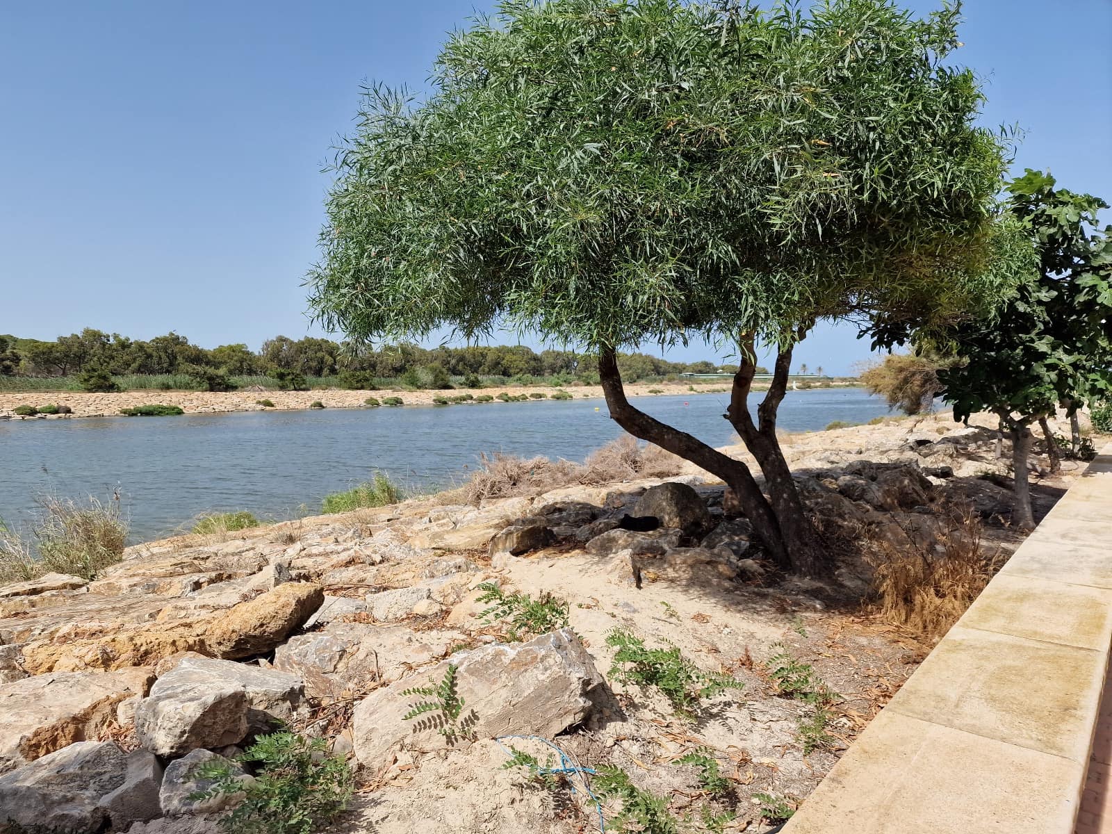 2 slaapkamer Appartement te koop in Guardamar del Segura met zwembad - € 235.000 (Ref: 7681399)