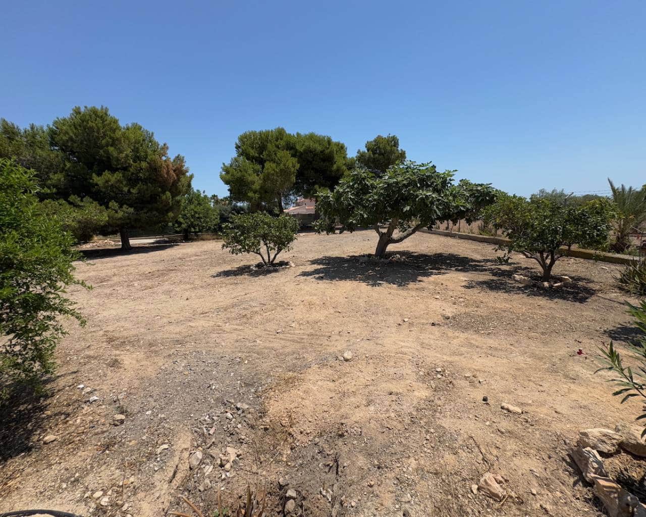 3 soveværelse Finca/Landehus til salg i Torrellano med swimmingpool - € 525.000 (Ref: 9110127)