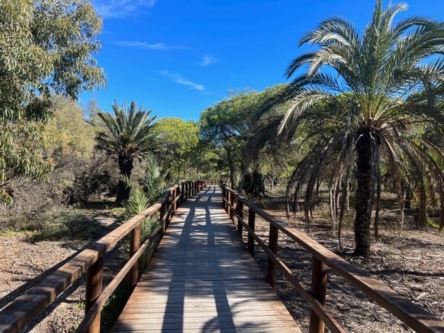 2 sovrum Lägenhet till salu i Guardamar del Segura - 189 900 € (Ref: 9470509)