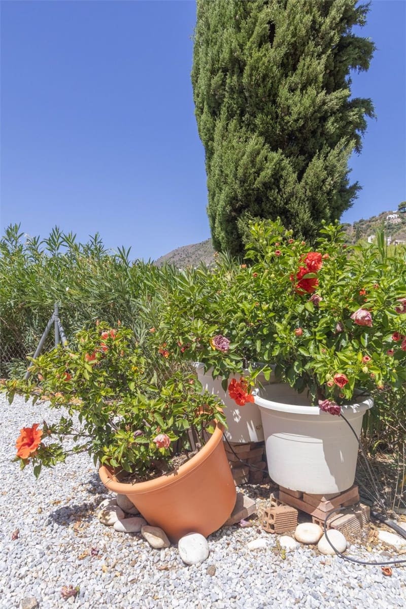 Finca/Country House for sale in Torrox - € 339,000 (Ref: 10098782)