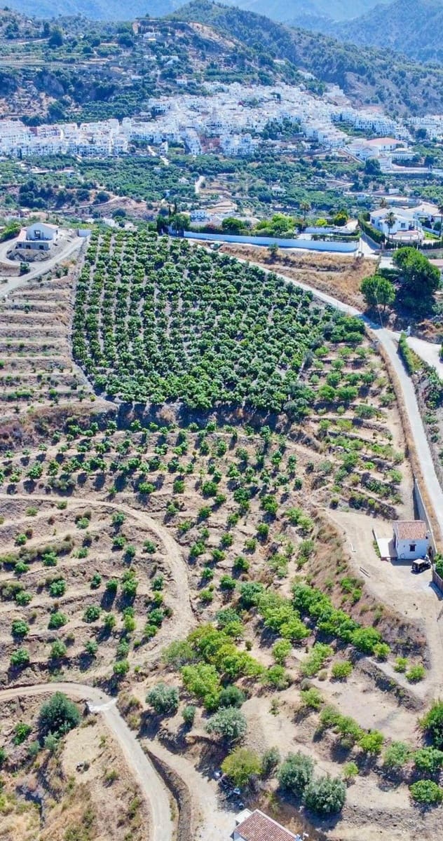 1 slaapkamer Finca/Landhuis te koop in Frigiliana met garage - € 199.900 (Ref: 9976372)