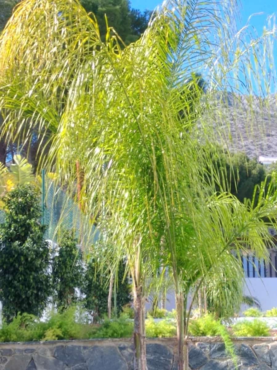 4 sovrum Villa till salu i Altea la Vella med garage - 995 000 € (Ref: 8215097)