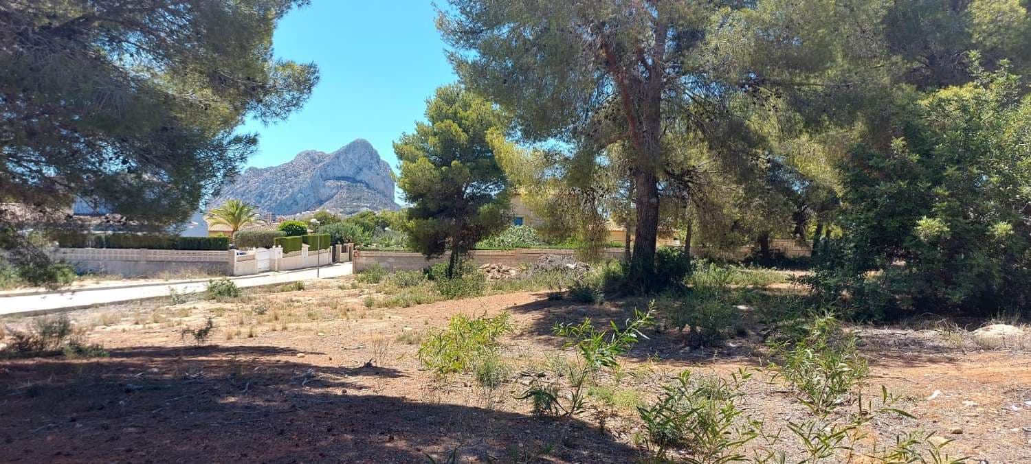 Building Plot for sale in Calpe / Calp - € 300,000 (Ref: 8563196)