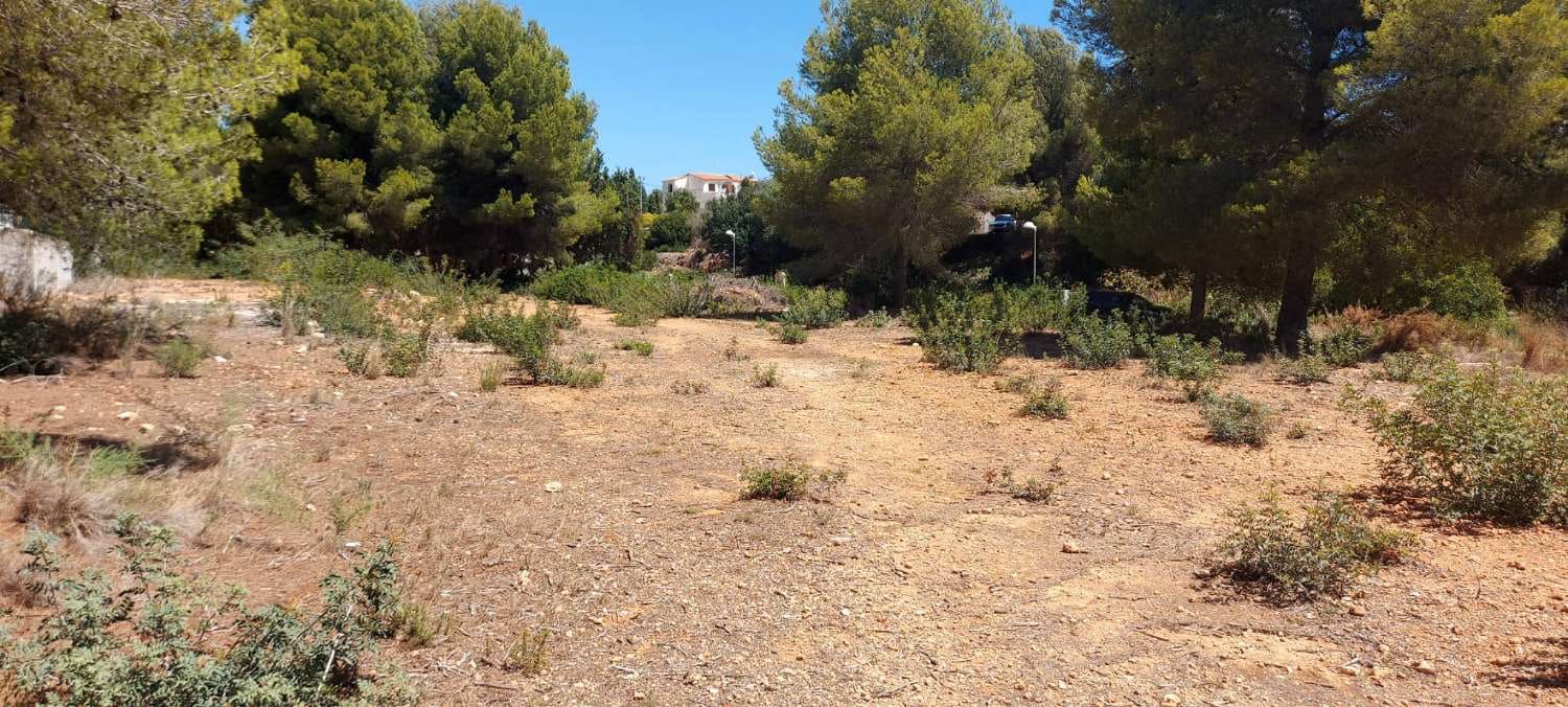 Building Plot for sale in Calpe / Calp - € 300,000 (Ref: 8563196)
