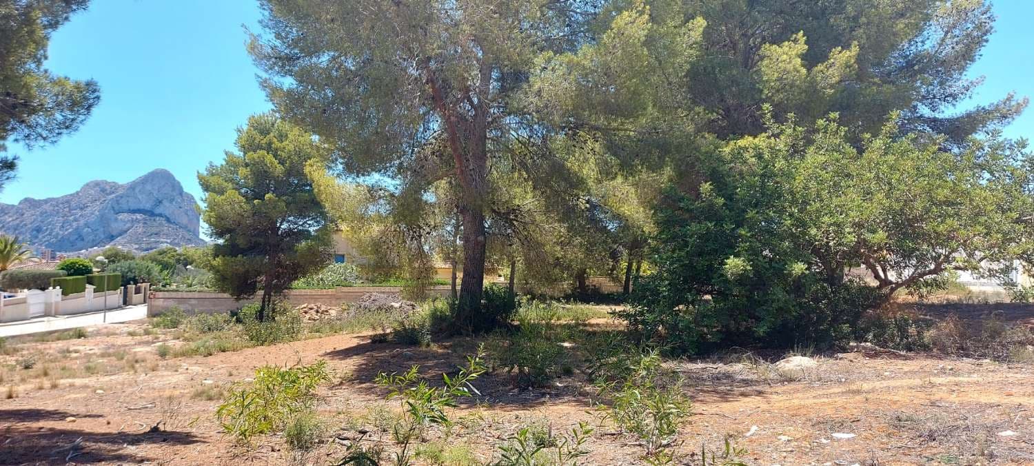 Building Plot for sale in Calpe / Calp - € 300,000 (Ref: 8563196)