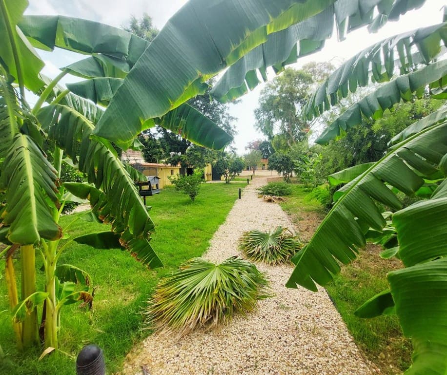 4 bedroom Villa for sale in Altea - € 1,260,000 (Ref: 8627910)