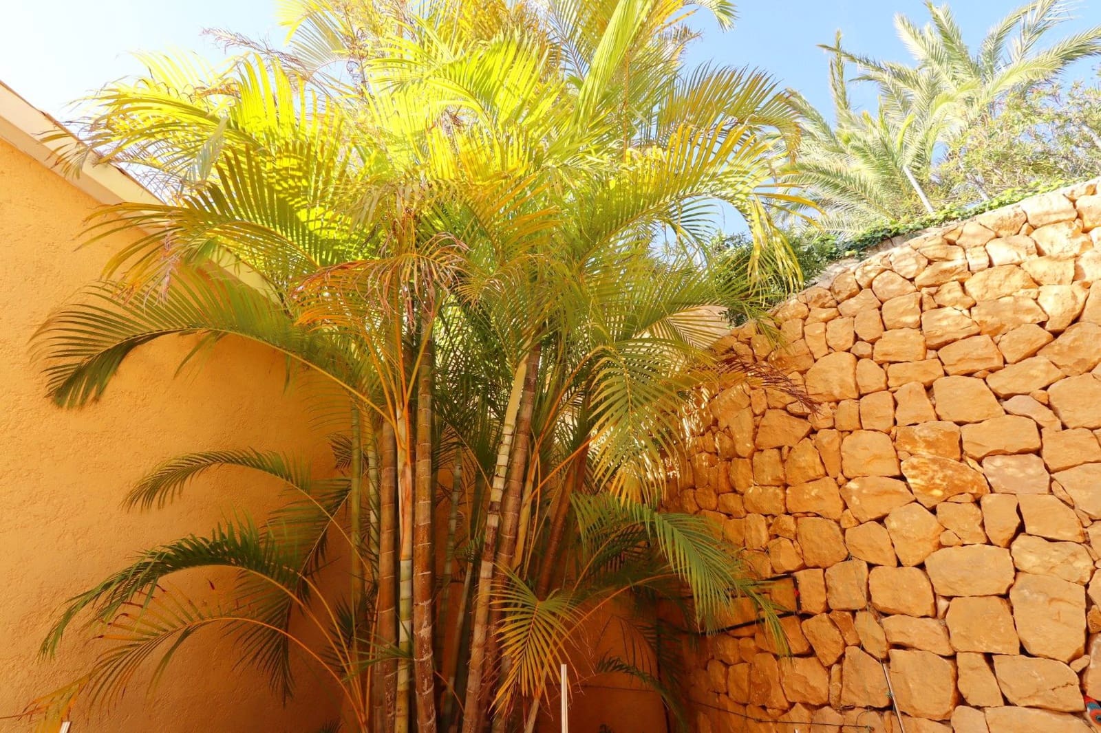 5 bedroom Villa for sale in Altea with garage - € 2,000,000 (Ref: 8681727)