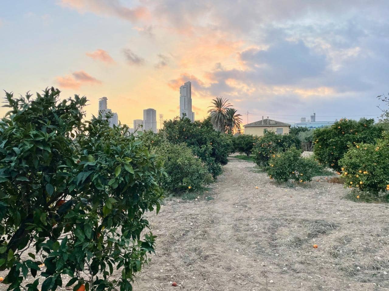 6 slaapkamer Villa te koop in Benidorm met garage - € 385.000 (Ref: 8766060)