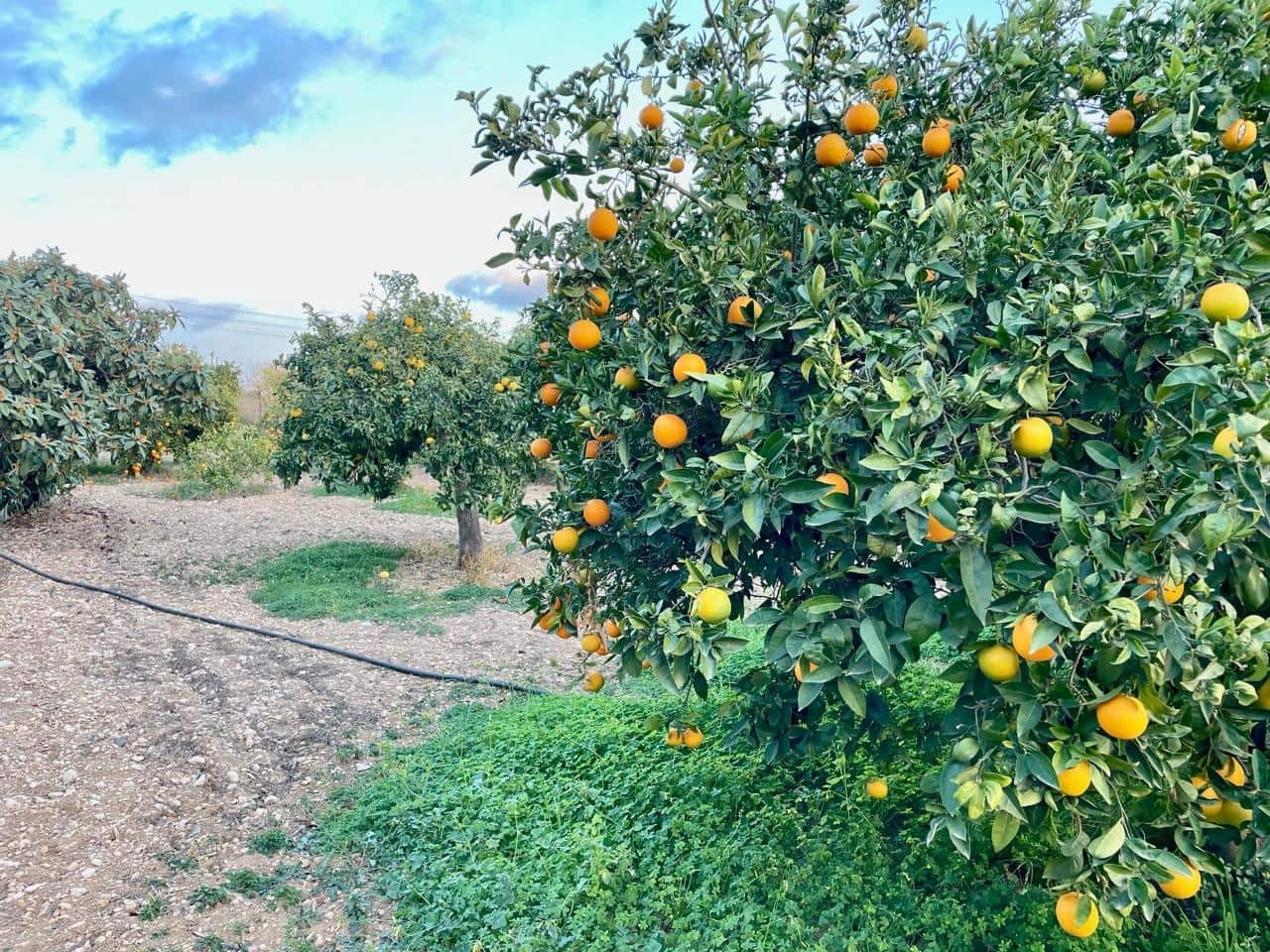 6 slaapkamer Villa te koop in Benidorm met garage - € 385.000 (Ref: 8766060)