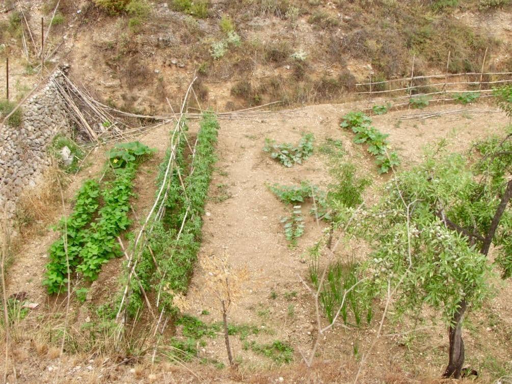 5 soverom Finca/Herregård til salgs i Benimantell med garasje - € 249 000 (Ref: 8922786)