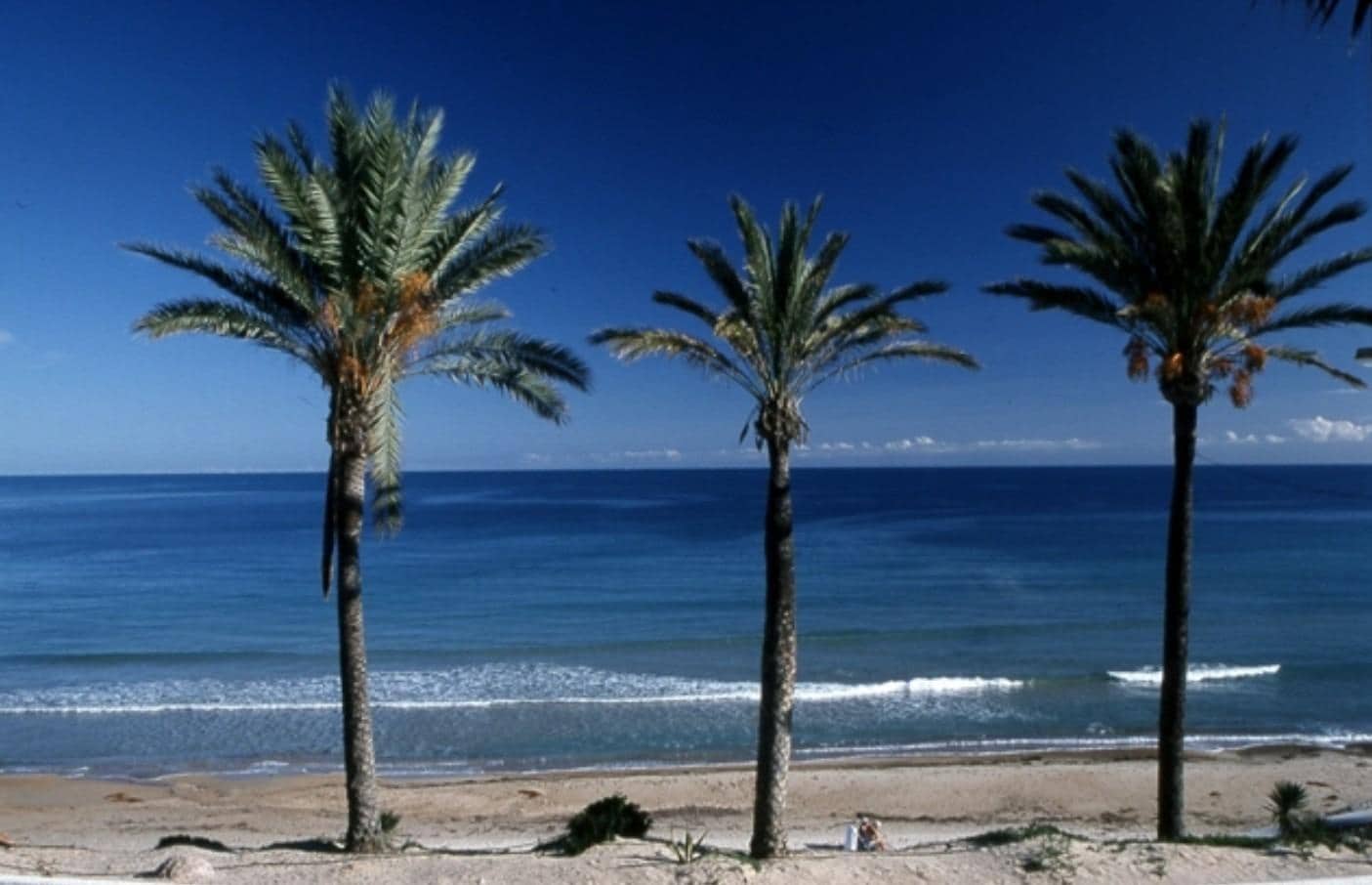 3 bedroom Apartment for sale in Pilar de la Horadada with pool - € 290,000 (Ref: 8922936)