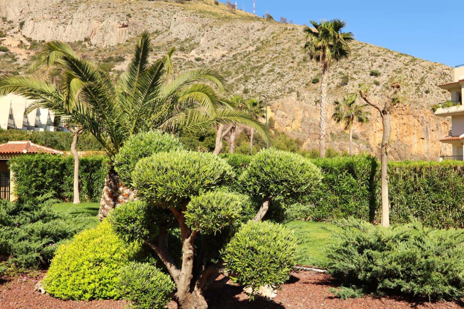 2 camera da letto Appartamento in vendita in Altea con piscina garage - 495.000 € (Rif: 8958172)