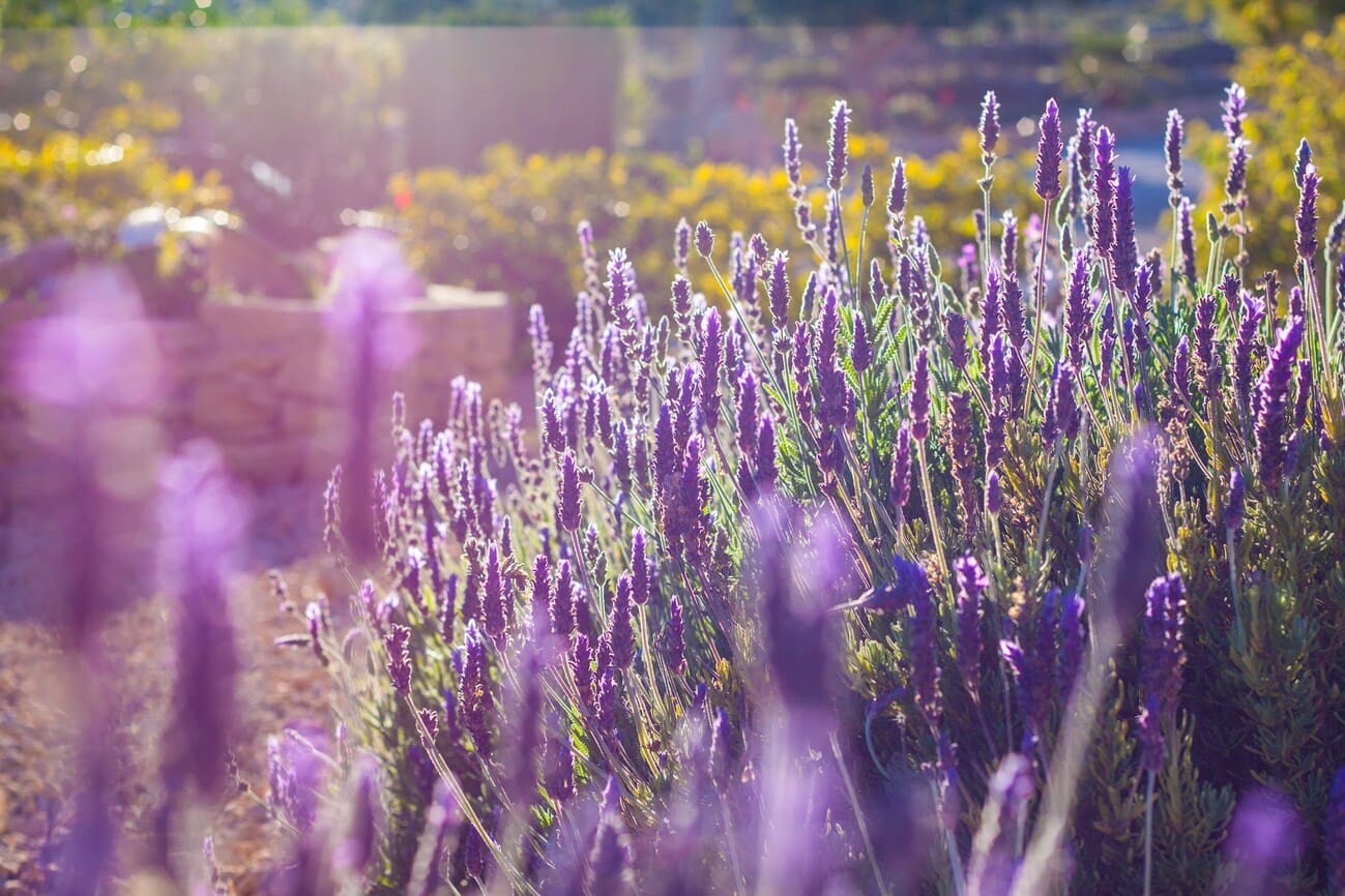 8 makuuhuone Maalaistalo myytävänä paikassa Benissa - 1 400 000 € (Ref: 9516857)