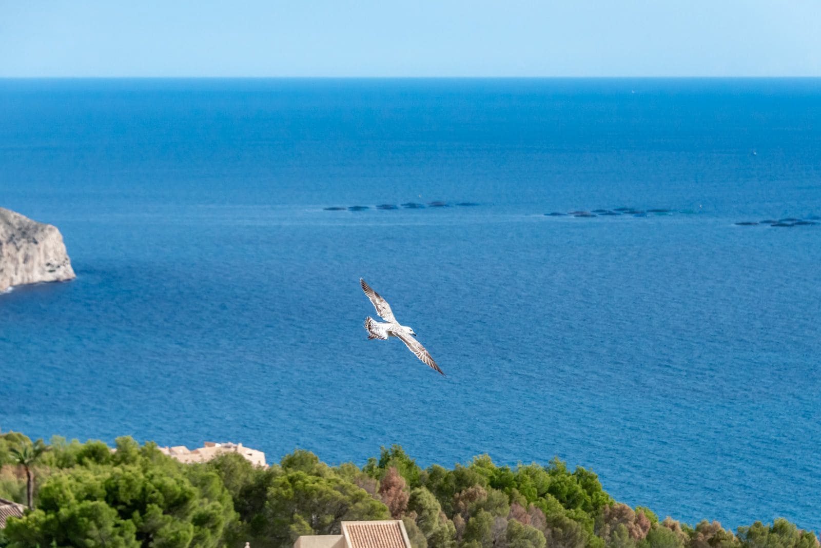 2 bedroom Apartment for sale in Altea with pool garage - € 525,000 (Ref: 9517820)