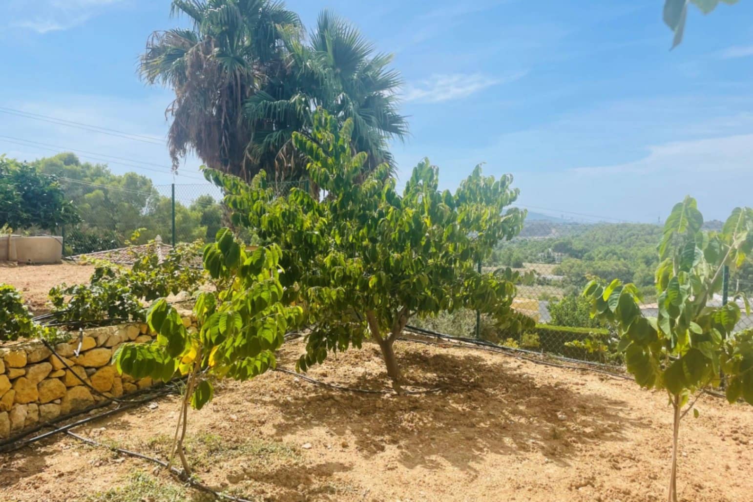 6 bedroom Villa for sale in Altea with pool garage - € 1,800,000 (Ref: 9765681)