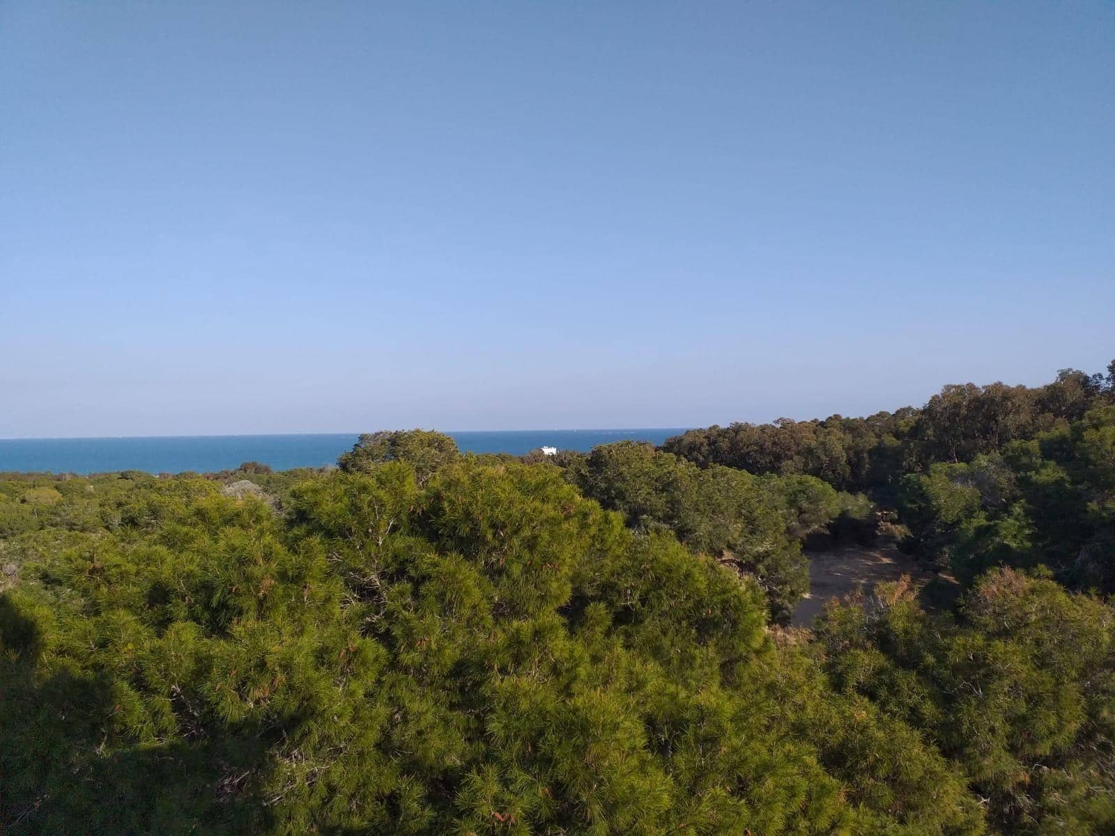 3 camera da letto Appartamento in vendita in Guardamar del Segura con piscina - 375.000 € (Rif: 9765870)