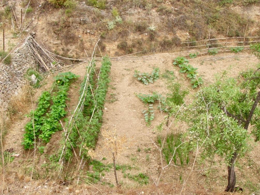 5 soverom Finca/Herregård til salgs i Benimantell med garasje - € 249 000 (Ref: 9766109)