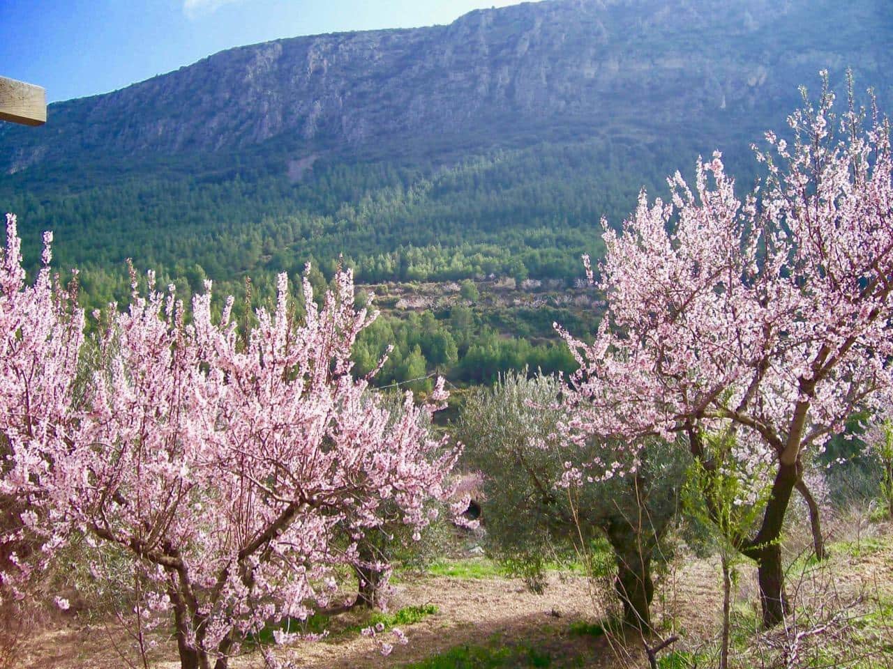 5 soverom Finca/Herregård til salgs i Benimantell med garasje - € 249 000 (Ref: 9766109)